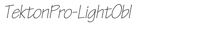 TektonPro-LightObl