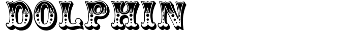 Dolphin