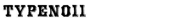 TypeNo11