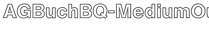 AGBuchBQ-MediumOutline