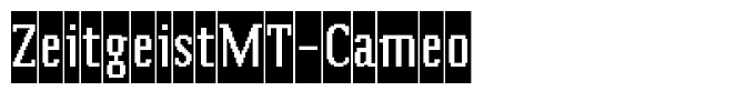 ZeitgeistMT-Cameo