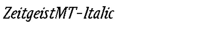 ZeitgeistMT-Italic