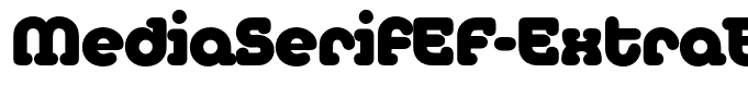 MediaSerifEF-ExtraBold