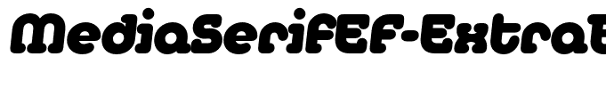 MediaSerifEF-ExtraBoldItalic