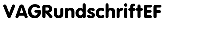 VAGRundschriftEF