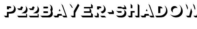 P22Bayer-Shadow