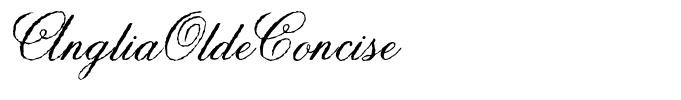 AngliaOldeConcise