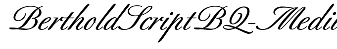 BertholdScriptBQ-Medium