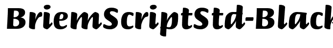 BriemScriptStd-Black