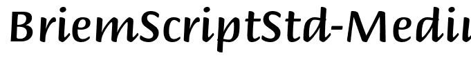 BriemScriptStd-Medium
