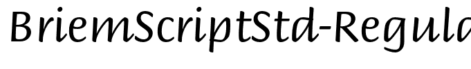 BriemScriptStd-Regular