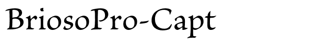 BriosoPro-Capt