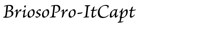 BriosoPro-ItCapt