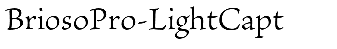 BriosoPro-LightCapt