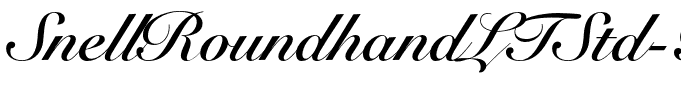 SnellRoundhandLTStd-BdScr