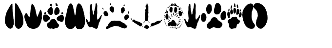 AnimalTracks