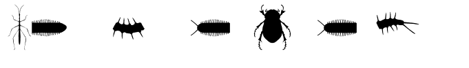 InsectileSolid