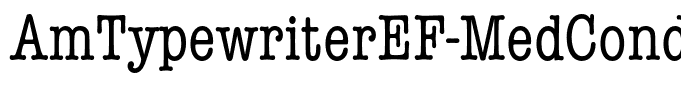 AmTypewriterEF-MedCond