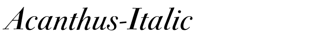Acanthus-Italic