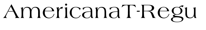 AmericanaT-Regu