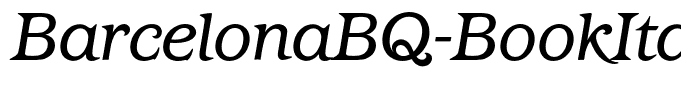 BarcelonaBQ-BookItalic