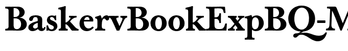 BaskervBookExpBQ-MediumOsF