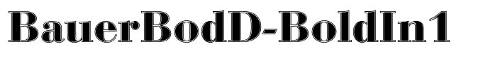 BauerBodD-BoldIn1