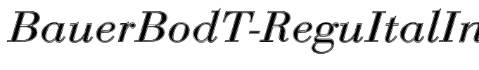 BauerBodT-ReguItalIn1
