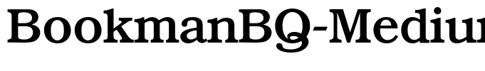 BookmanBQ-Medium