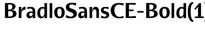 BradloSansCE-Bold(1)