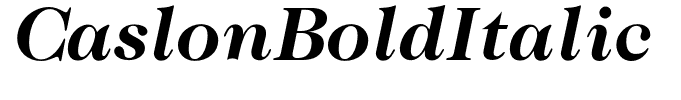 CaslonBoldItalic