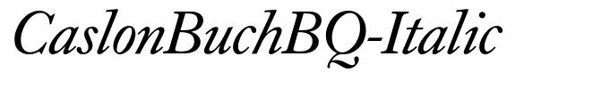 CaslonBuchBQ-Italic