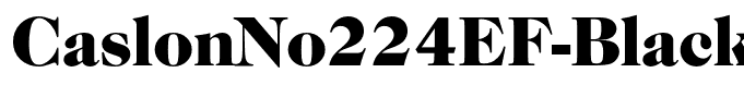 CaslonNo224EF-Black