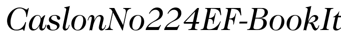 CaslonNo224EF-BookItalic