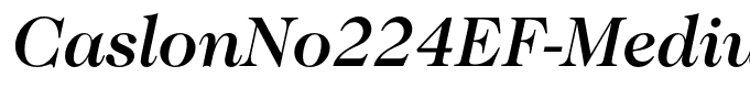 CaslonNo224EF-MediumItalic