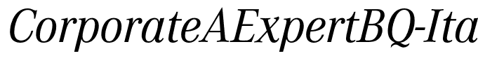 CorporateAExpertBQ-ItalicOsF