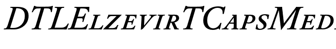 DTLElzevirTCapsMedium-Italic