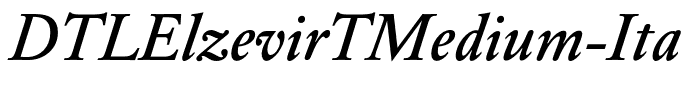 DTLElzevirTMedium-Italic