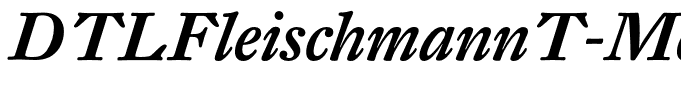 DTLFleischmannT-MediumItalic