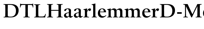 DTLHaarlemmerD-Medium