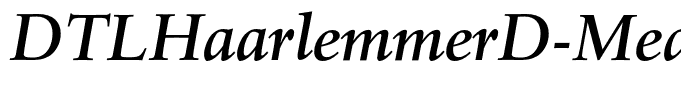 DTLHaarlemmerD-MediumItalic