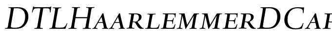 DTLHaarlemmerDCaps-Italic