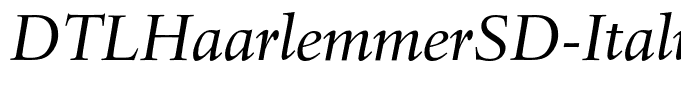 DTLHaarlemmerSD-Italic
