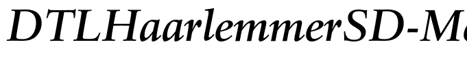 DTLHaarlemmerSD-MediumItalic