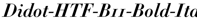 Didot-HTF-B11-Bold-Ital