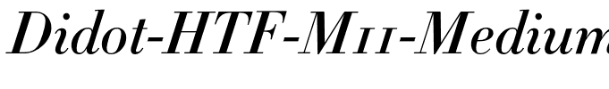 Didot-HTF-M11-Medium-Ital