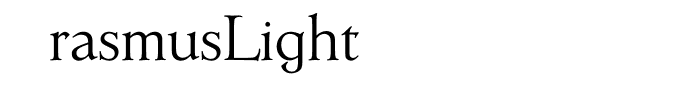 ErasmusLight