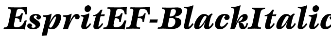EspritEF-BlackItalic
