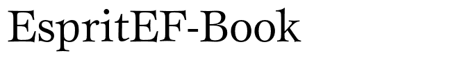 EspritEF-Book