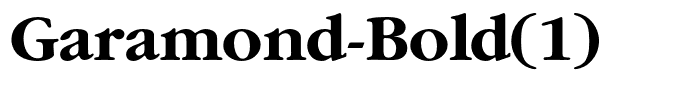 Garamond-Bold(1)
